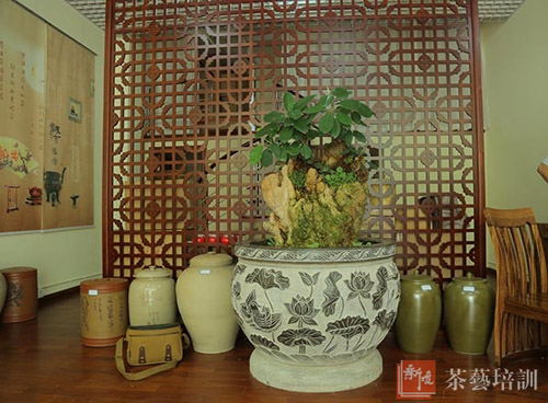 君有嘉木,其华灼灼——研修班学员新店开张小记