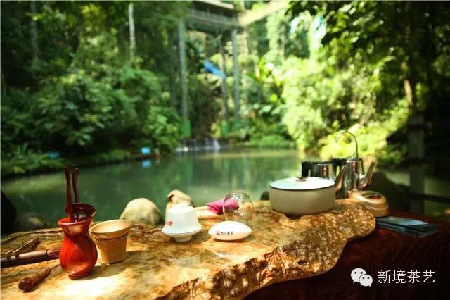 秘境,望天树,醉美遇见,森呼吸!