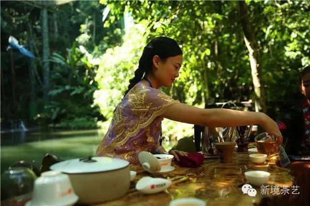 秘境,望天树,醉美遇见,森呼吸!