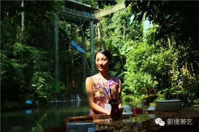 秘境,望天树,醉美遇见,森呼吸!